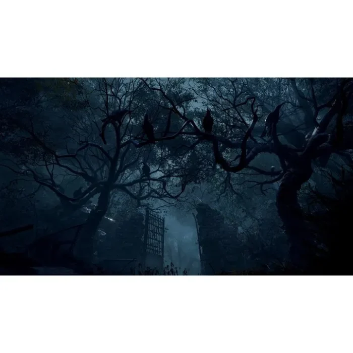 resident evil 4 06